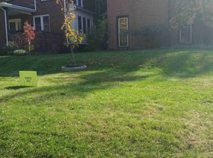 Ralph C.'s Lawn Service service result