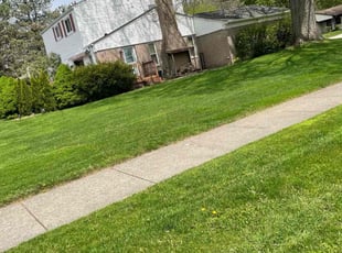 Jessa G.'s Lawn Maintenance service result