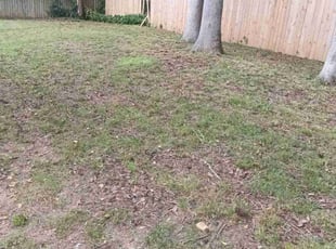Weeding by Enrique Juarez for Jan J. in Woodstock, GA