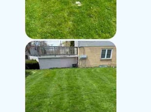 Ethylene M.'s Lawn Service service result