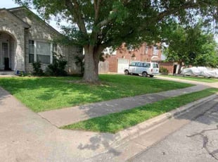 Jaime R.'s Lawn Care service result