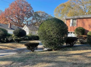 Bush Trimming by Latonya Talley for Emanuell L. in Atlanta, GA