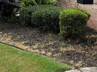 Bush Trimming by Daniel Burse for Chastity V. in Mableton, GA
