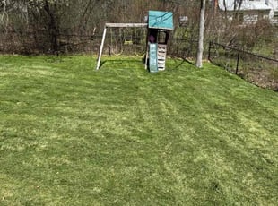 Eric J.'s Lawn Care service result