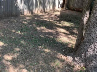Cleanups by Jose Luis Rosas for Connie M. in Cedar Park, TX