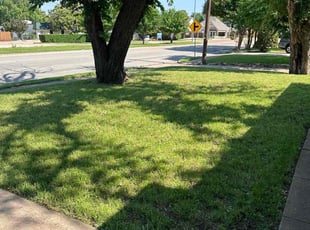 James E B.'s Lawn Care service result
