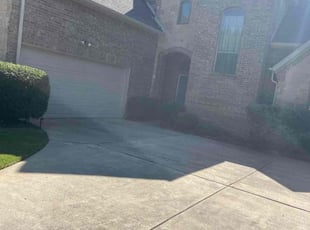 Bush Trimming by Samuel Fogg for Steven S. in Denton, TX