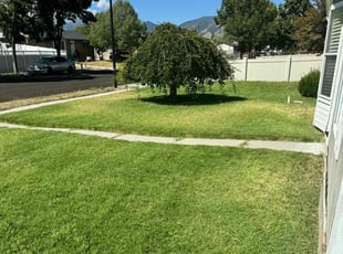 Julio C.'s Lawn Maintenance service result