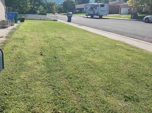 Ally N.'s Yard Cutting service result