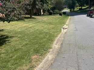 Janee B.'s Yard Cutting service result