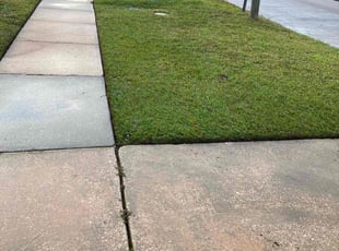 Kim, C.'s Lawn Mowing service result