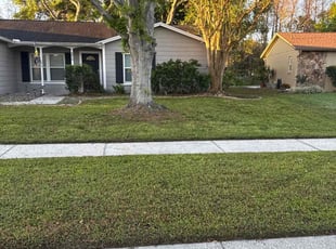 Jason O.'s Yard Cutting service result