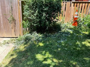 Bush Trimming by Alphonso Hoke for Amar T. in Baltimore, MD