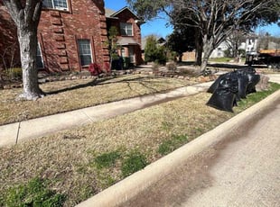 Leaf Removal by Osmin Salvador for Damil A. in Garland, TX