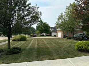 Liliana A.'s Lawn Care service result