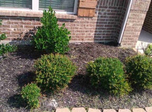 Cleanups by Philip Heinz for Jermaine S. in Forney, TX