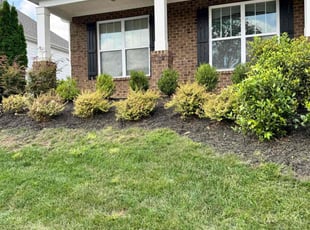Hiep P.'s Lawn Mowing Service service result