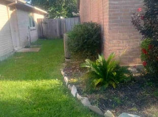 Bush Trimming by Donovan Perry for Antonio B. in Katy, TX