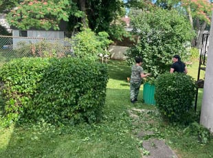 Bush Trimming by Moses Cataquet for Laura G. in Feasterville-Trevose, PA