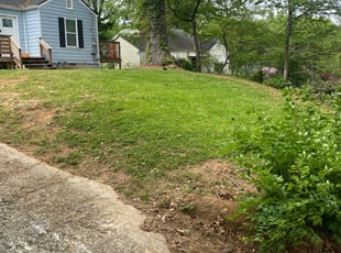 Landscaping by Terence Frederick for Davonne T. in Atlanta, GA