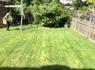 Bush Trimming by Kwesi Broomfield for Michael B. in Columbus, OH