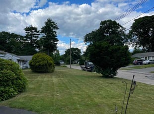 Laurie F.'s Grass Cutting service result