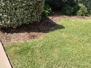 Weeding by John Brown for Leslie T. in McKinney, TX