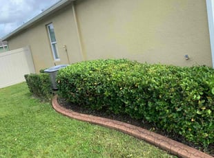Bush Trimming by Jonathan Hopf for Ashley J. in Davenport, FL