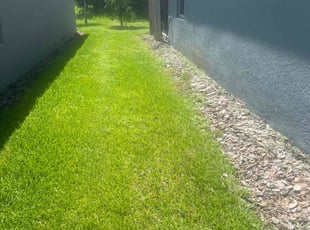 Luis B.'s Lawn Service service result