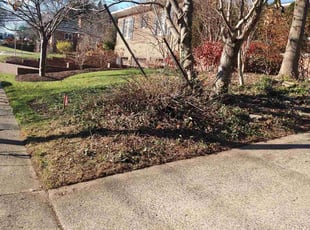 Cleanups by Allan Roberts for Yiran S. in Alexandria, VA
