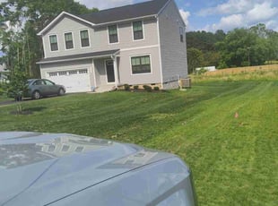 Nadine W.'s Lawn Mowing service result