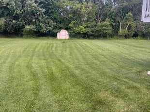 Rachel B.'s Lawn Mowing service result