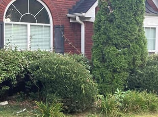 Bush Trimming by Michael Marshall for Southern Homebuyers O. in Lawrenceville, GA