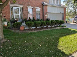 David T.'s Lawn Care service result