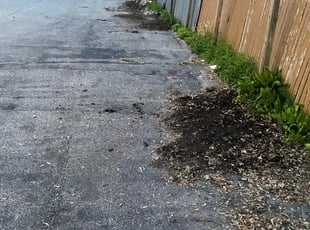 Cleanups by Corey Schmitter for Andrew D. in Indianapolis, IN