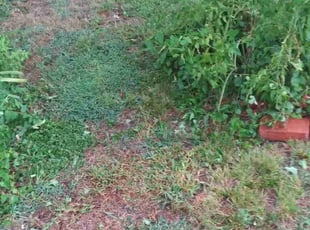Cleanups by Jasun Squires for Nathan S. in McKinney, TX