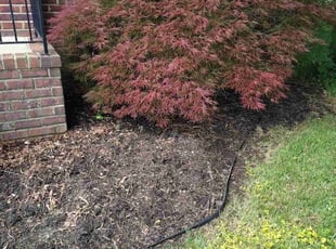 Weeding by Sim Diggs for Mario C. in Suffolk, VA