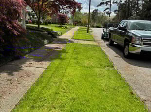 Peggy S.'s Lawn Mowing Service service result