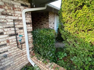 Bush Trimming by Lance Holtman for Robin C. in Edmond, OK