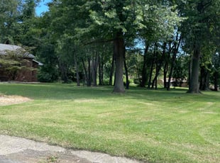 Vince M.'s Lawn Maintenance service result