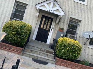 Bush Trimming by Paul Wright for Olivia K. in Washington, DC