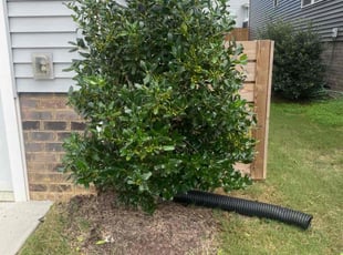 Bush Trimming by Mario Giallombardo for Pamela H. in Stonehouse, VA