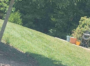 Brandi B.'s Lawn Mowing Service service result