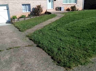 Gloriel F.'s Lawn Mowing service result