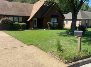 David A.'s Lawn Mowing service result
