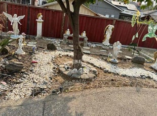 Leaf Removal by Jorge Rafael ChΓ‘vez for Leonard P. in San Jose, CA