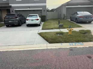 Bush Trimming by William Chavers for Daniel C. in Riverview, FL