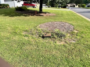Weeding by Marc Yero for Darian W. in Douglasville, GA