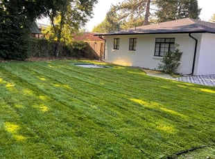 Kirtley C.'s Yard Cutting service result