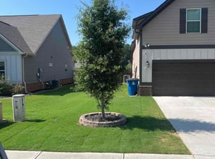 Tawanda L.'s Yard Cutting service result